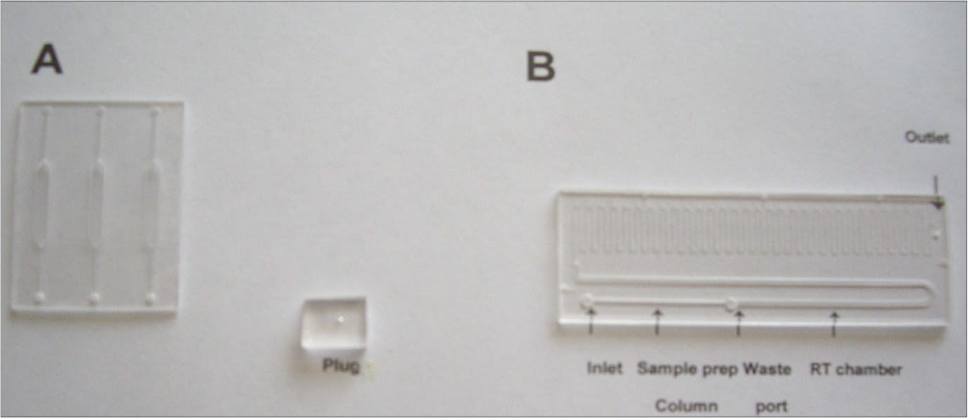 Microfluific devises employed in this research. (A) Low throughput (LT) device. (B) High throughput (HT) device showing three sections: sample preparation column, RT chamber and above them are PCR channels. Plug to seal inlet and outlet of the device is shown in the background.