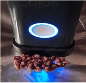 SCiOTM device being used to scan the 30 grape seeds.