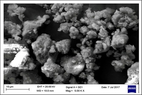 SEM image of Mandura (Haematite based) Bhasma showing irregular distribution of nanometer sized particles 55.