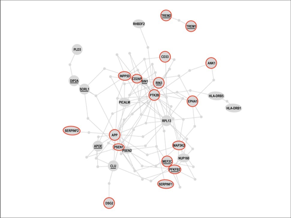 Figure 3. Genes associated with Alzheimer’s disease and genes differentially methylated in Alzheimer’s disease patients form a “susceptibility network” for Alzheimer’s. Most of these comprise a tight interaction cluster that includes APP, and function in cell-extracellular matrix interactions, cell process movement, trophic signaling, inflammatory response, stress pathways, and related pathways. From reference 103, adapted by 102.