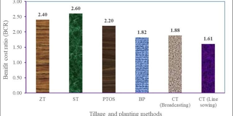 Article: Appropriate Conservation Machinery for Mungbean Cultivation in the Southern Region of Bangladesh