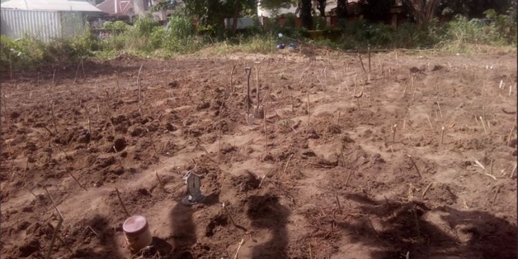 Journal of Farming - Carbofuran