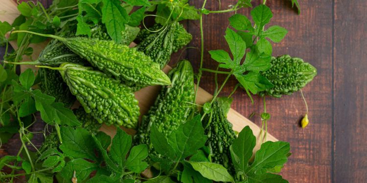 Journal of Farming - Bitter Gourd