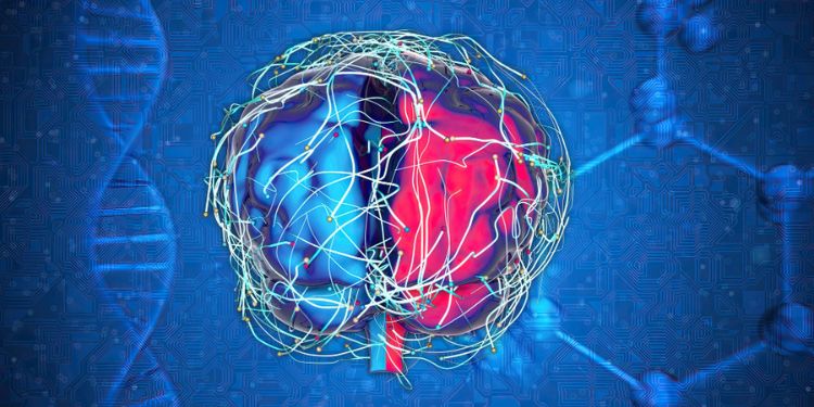 Journal of Advanced Therapeutic Science - synaptoblastic